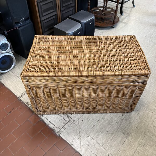 CESTA VIMINI