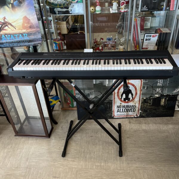 PIANOFORTE ELETTRICO