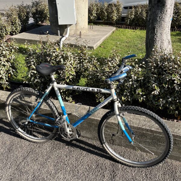 BICI KASTLE
