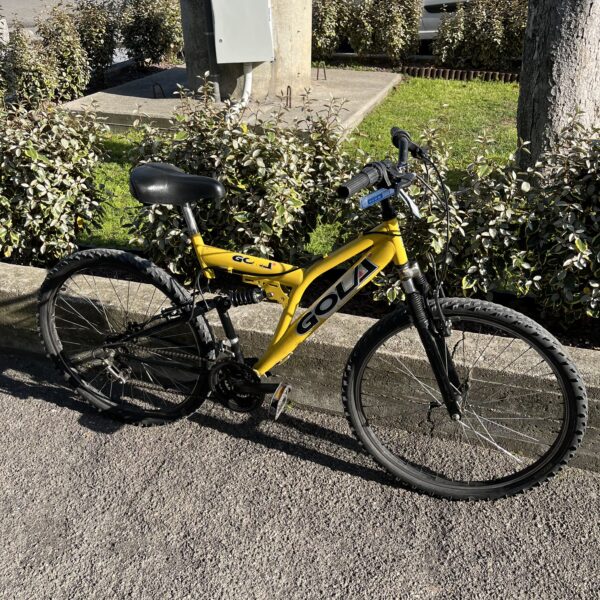 BICI GIALLA GOLA