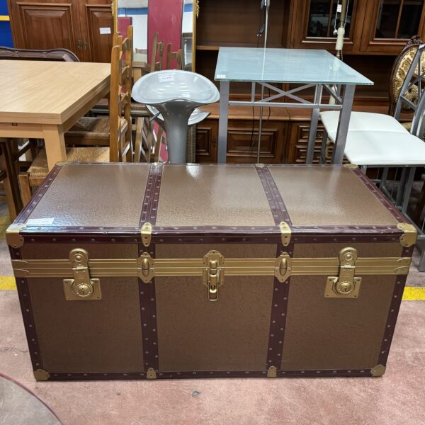 BAULE IN CARTONE