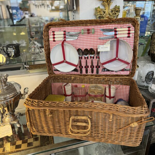 CESTA PIC-NIC