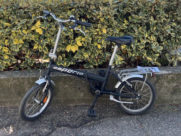 Bici Pieghebole
