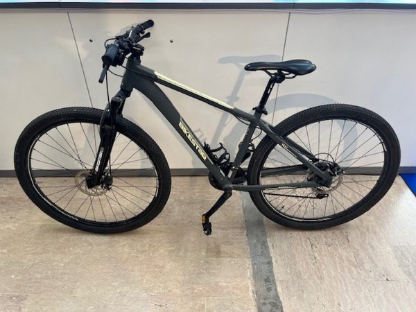 Bicicletta Grigia Bikestar