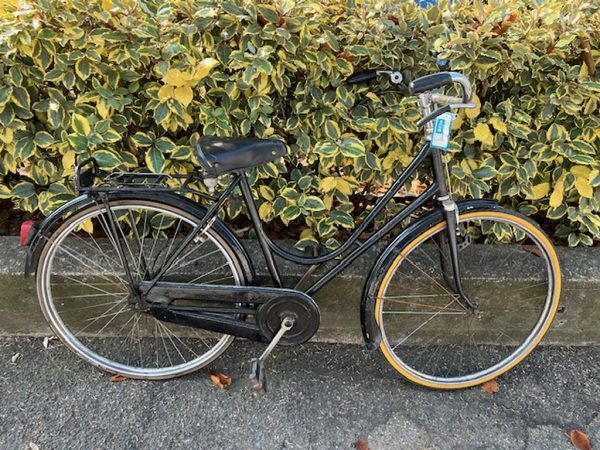 Bicicletta Freno A Bacchetta Nera Donna