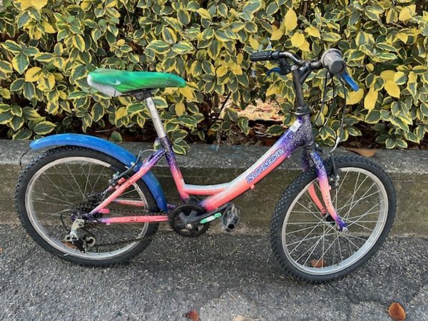 Bicicletta Mountain Bike Blu Rosa Run&bike