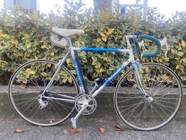 Bicicletta Da Corsa Azzurra Bianca Boschetti Vintage