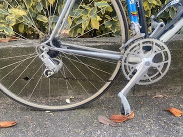Bicicletta Da Corsa Azzurra Bianca Boschetti Vintage - immagine 3