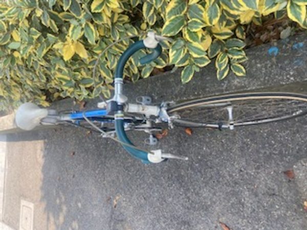 Bicicletta Da Corsa Azzurra Bianca Boschetti Vintage - immagine 4