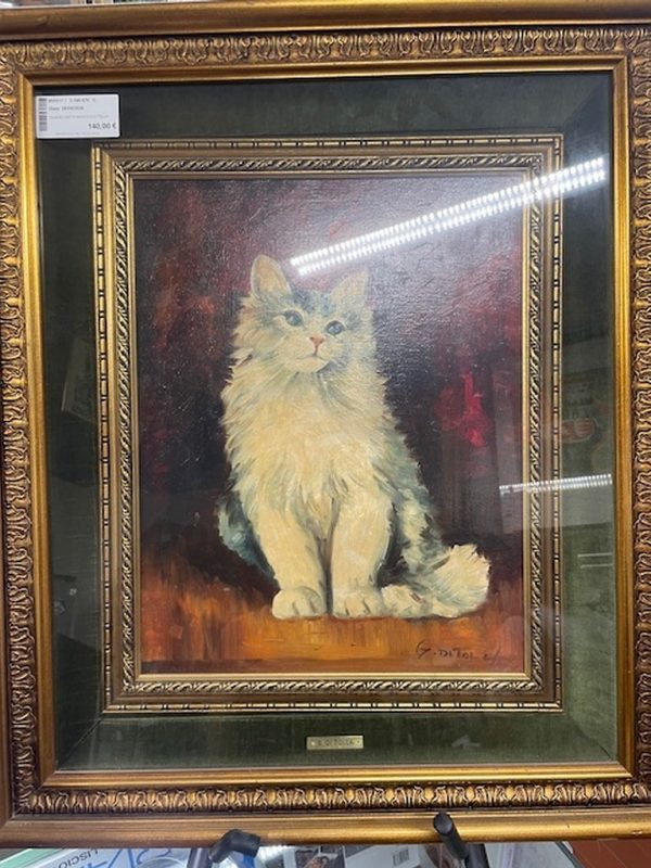 Quadro Gatto Bianco G.di Tolla