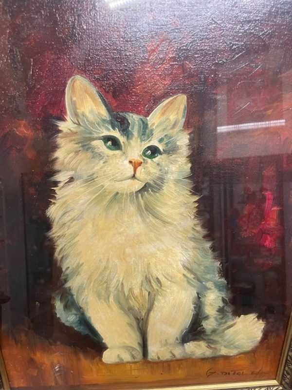 Quadro Gatto Bianco G.di Tolla - immagine 2