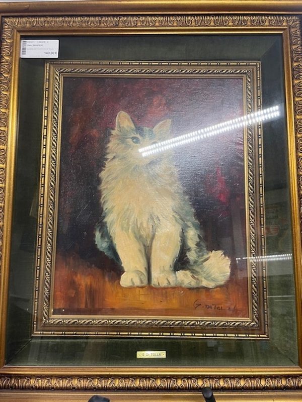 Quadro Gatto Bianco G.di Tolla - immagine 3