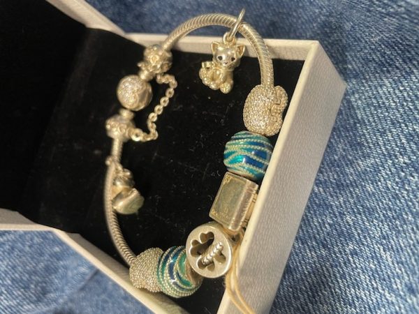 Bracciale In Arg 925 + Charm Pandora