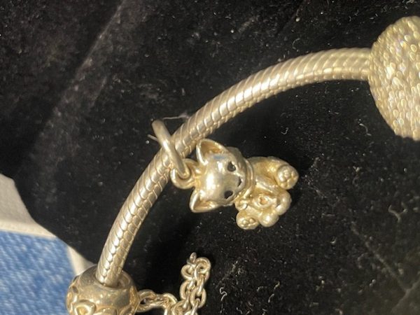 Bracciale In Arg 925 + Charm Pandora - immagine 4
