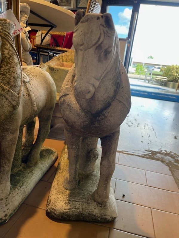 Cavallo Pietra - immagine 4