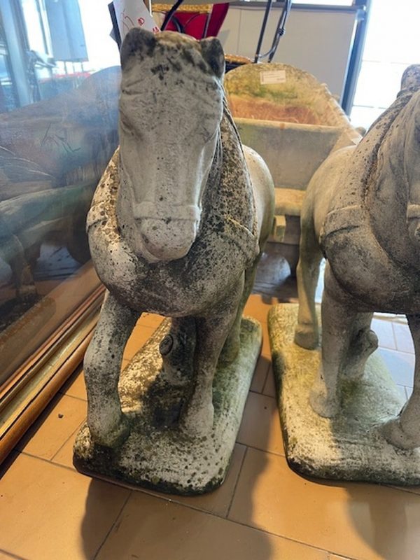 Cavallo Pietra - immagine 5