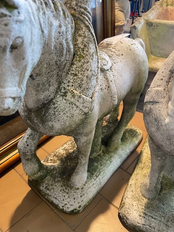 Cavallo Pietra - immagine 7