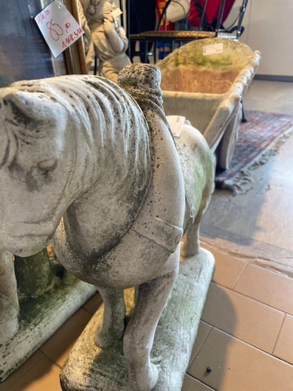 Cavallo Pietra - immagine 8
