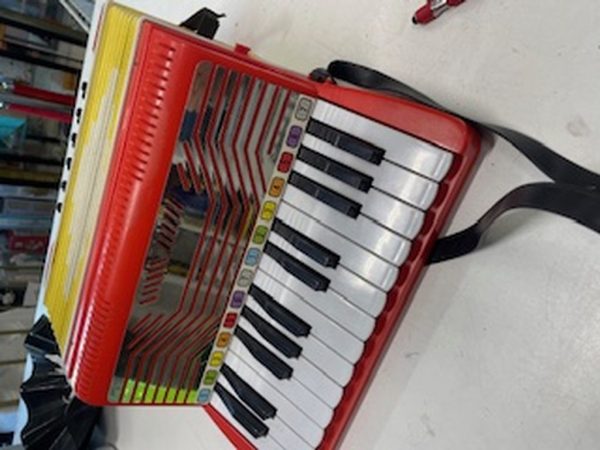Gioco Fisarmonica Rossa Gialla - immagine 5