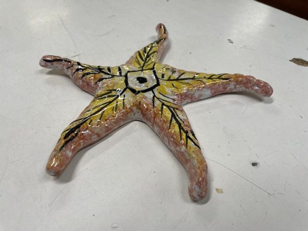 Stella Marina Golfo Aranci Ceramica - immagine 2