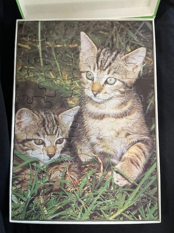 Puzzle Jumbo Puzzle Gattini - immagine 2