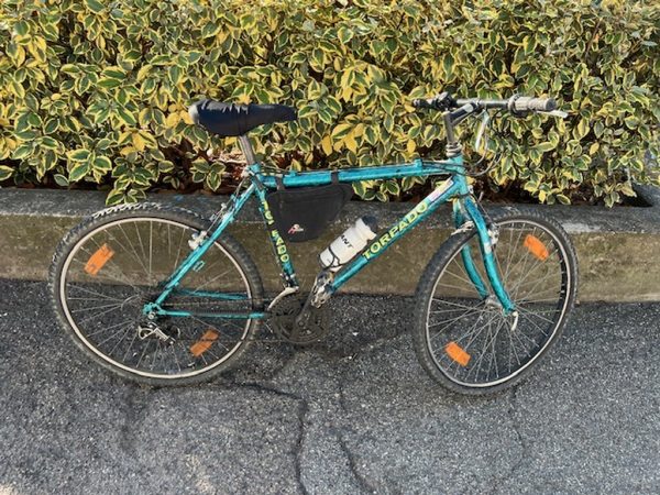 Bicicletta Verde Torpado