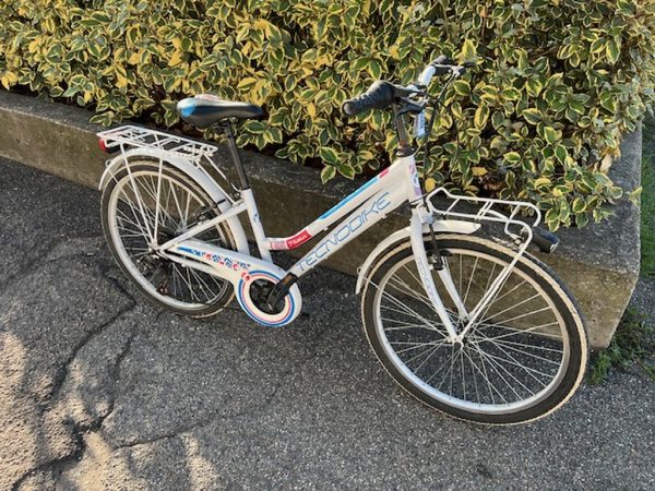 BICICLETTA BIANCA - immagine 2
