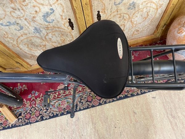 Bicicletta Grigia Scura City Bike Donna Altec Manta - immagine 5