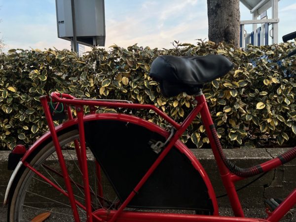 Bicicletta Donna Rossa T. Olandese - immagine 2